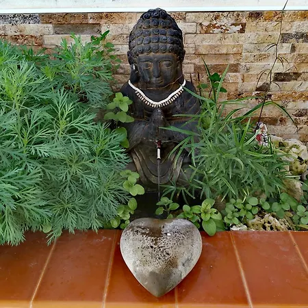 La Casa Del Buda Cerca De La Playa Con Piscina Gran Alacant